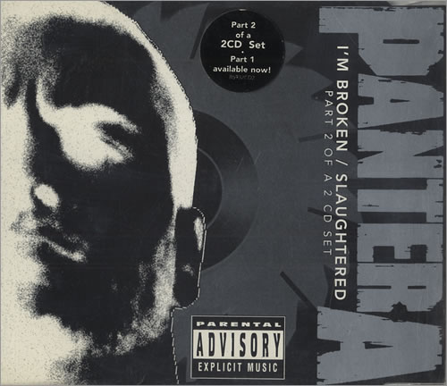 専用　2枚セット　PANTERA　俗悪 Amazon.co.jp: 俗悪 - パンテラ: ミュージック